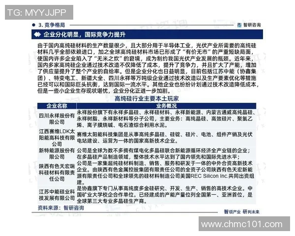 深入分析LNG行业运营策略与市场动态的全景解读 深入分析LNG行业运营策略与市场动态的全景解读