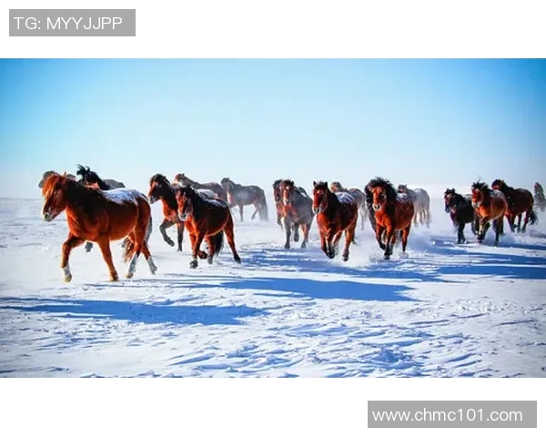 奥斯特桑与北雪平激战在即谁能在这场较量中笑到最后