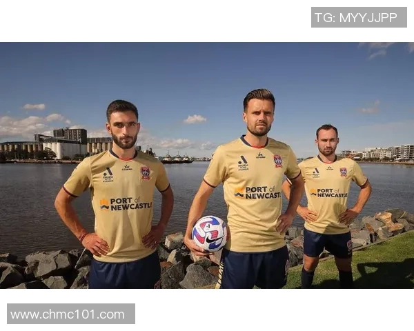 纽卡斯尔主场迎战布莱克全力争胜展现球队实力与斗志