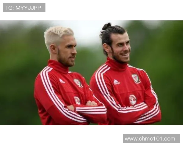 2018年格鲁吉亚对阵威尔士的精彩赛事回顾与分析 2018年格鲁吉亚对阵威尔士的精彩赛事回顾与分析